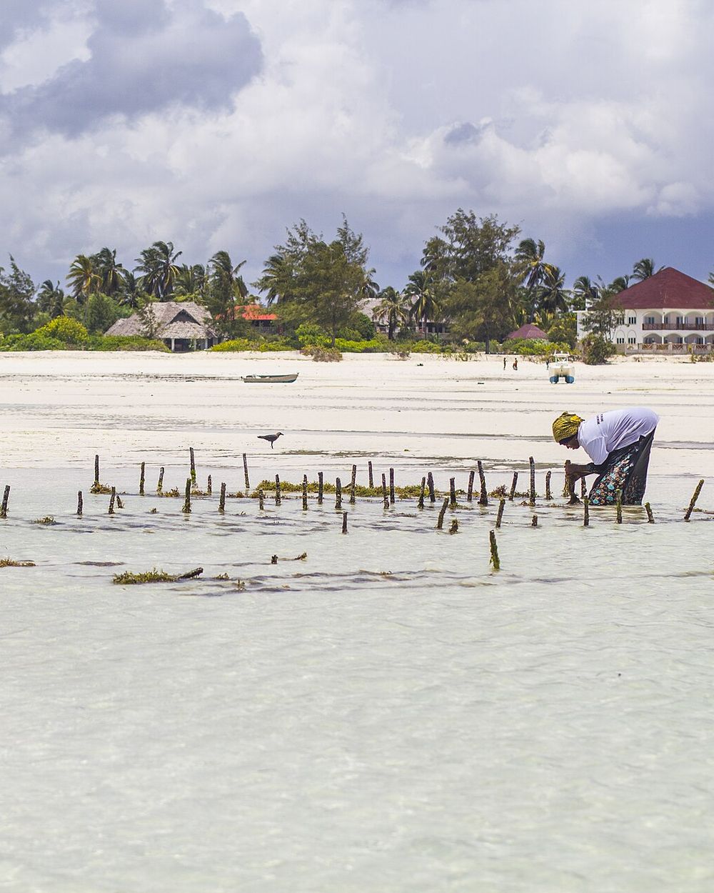Women working on the beach in Zanzibar
